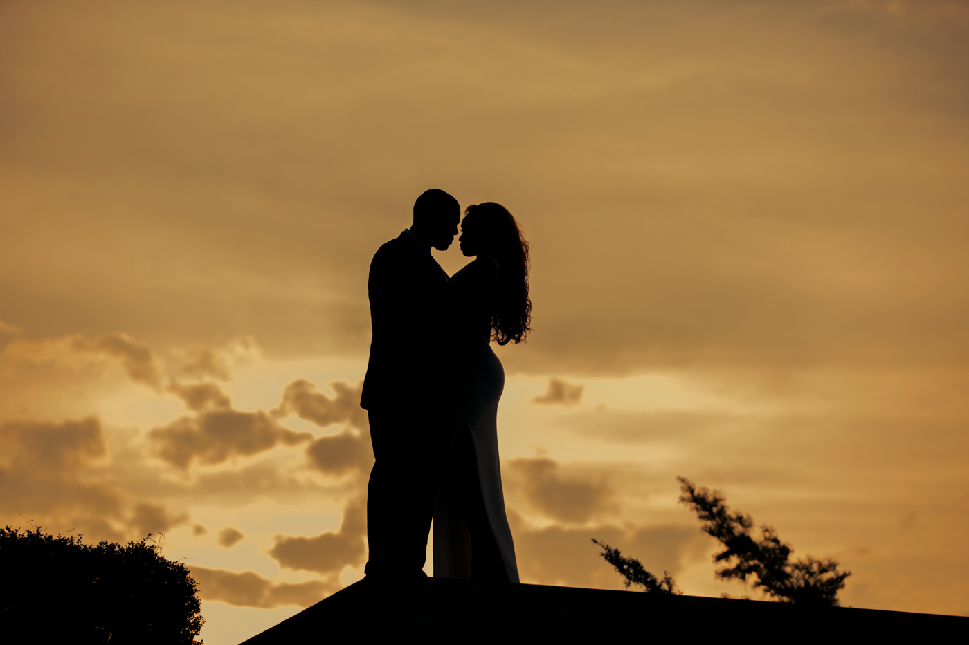 we-were-wedded-in-dc-elopement-ksenia-pro-photography-59